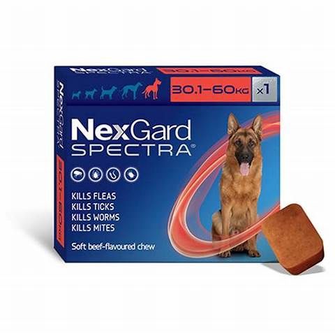 NexGard Spectra XL 30.1-60KG