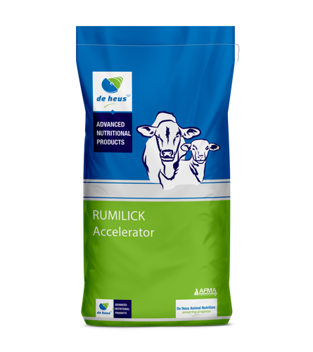 Rumilick Accelerator (produksie lek vir jong diere)