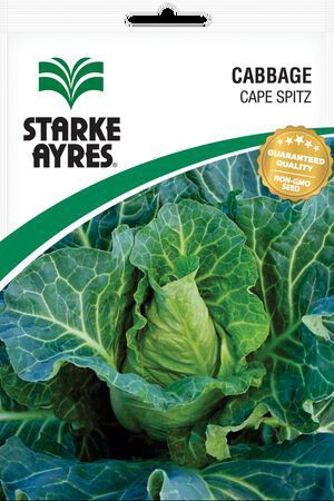 Cabbage Cape Spitz