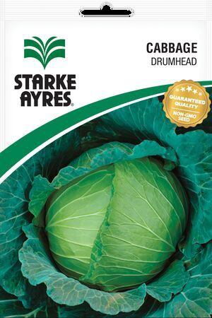 Cabbage Drumhead