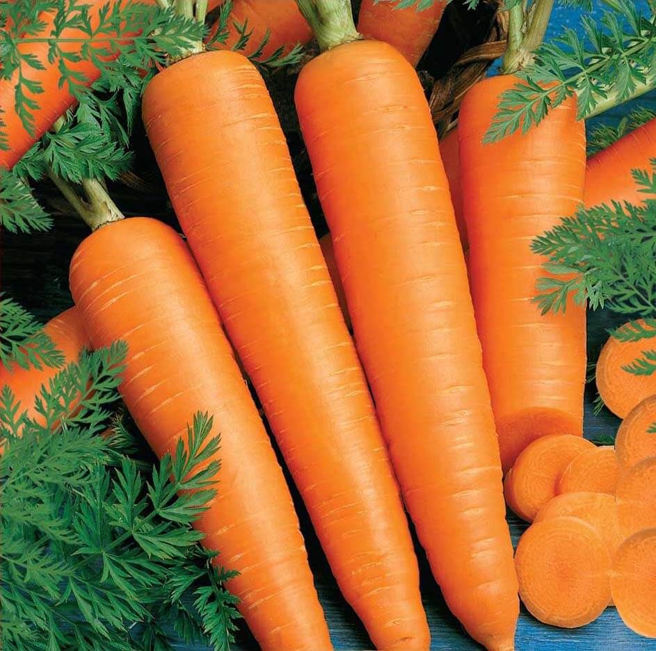 Carrot Kuroda