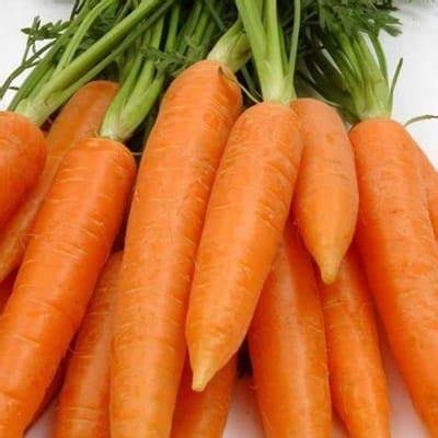 Carrot Cape Market