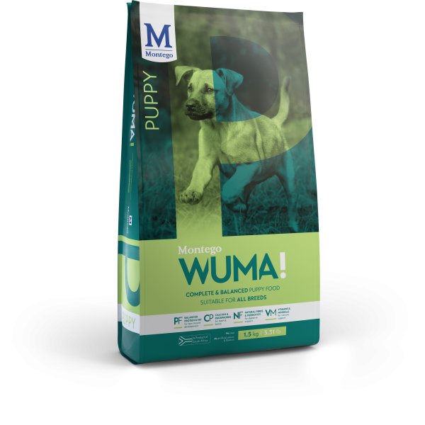 Montego Wuma Puppy 8KG