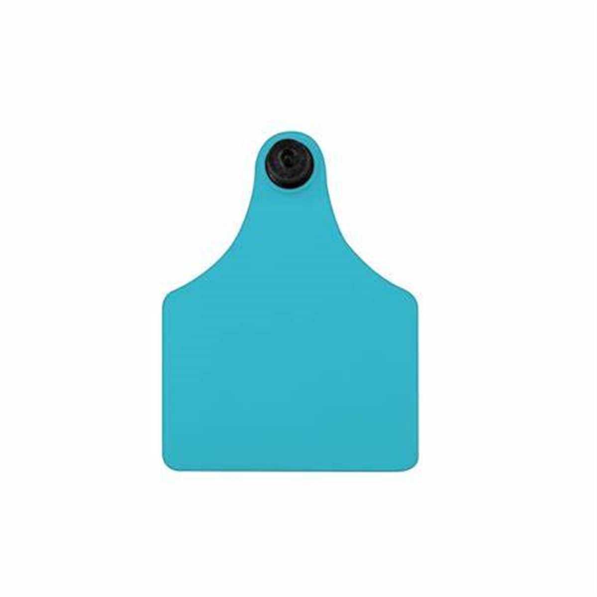 Allflex BTM/Maxi Blue 10s M1/F4 Cattle tag