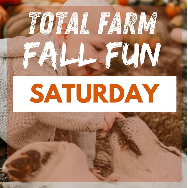 Fall Fun Tickets  - SATURDAY