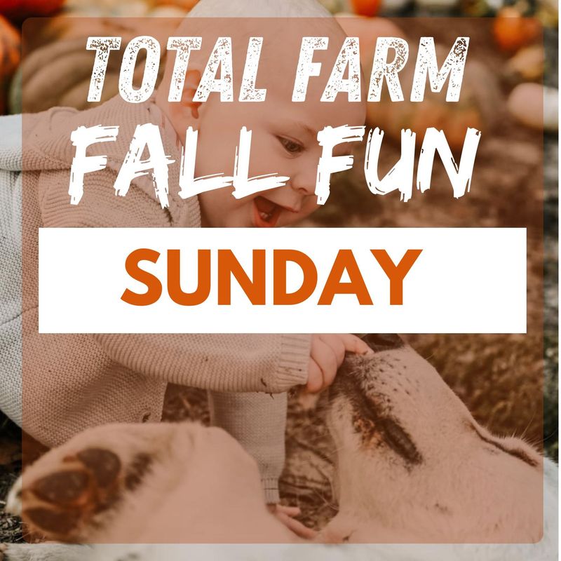 Fall Fun Tickets  - SUNDAY