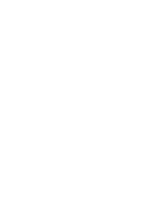 4 The Algorithm