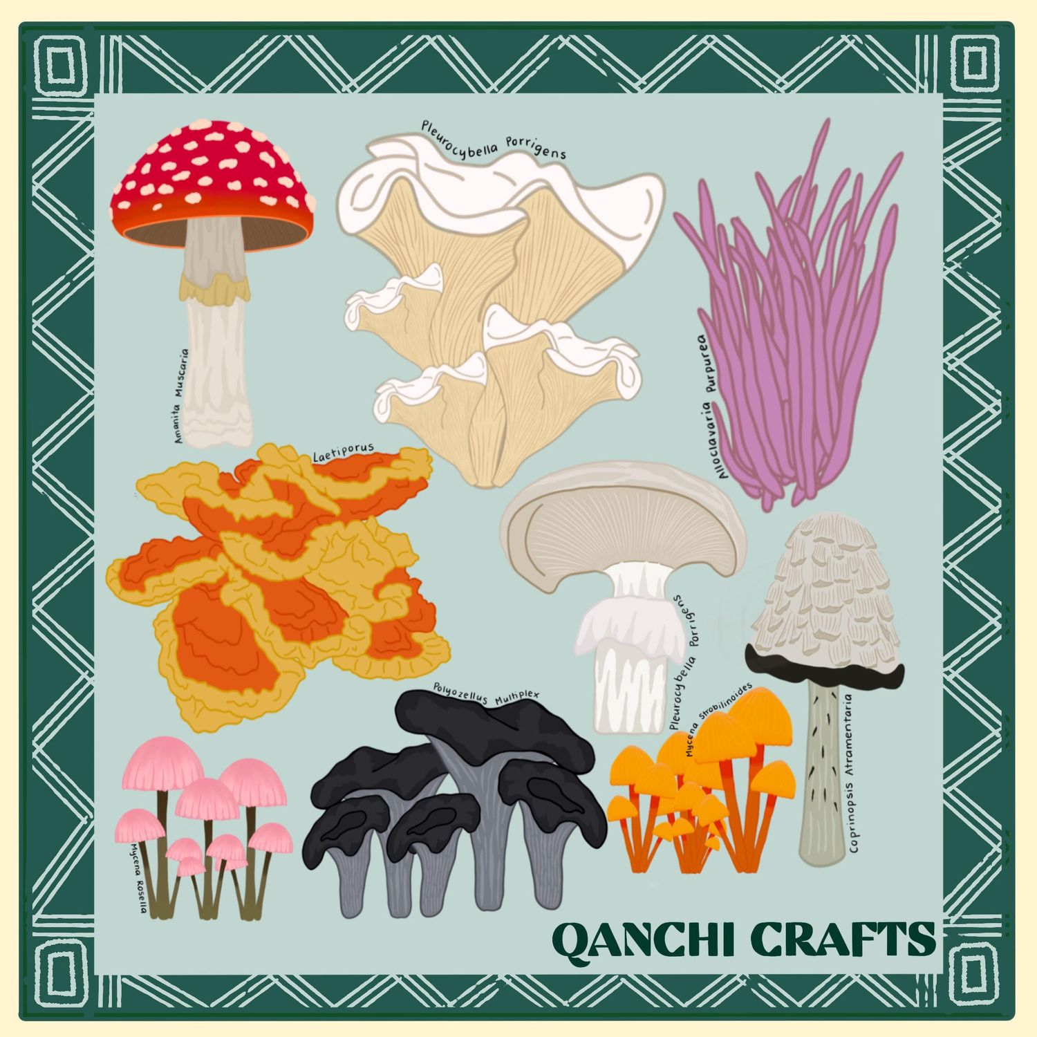 Mushrooms of Alaska Art Print
