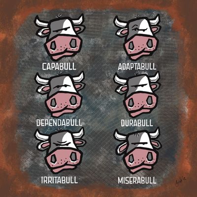 Flockers Blank Greetings Card | Total Bull