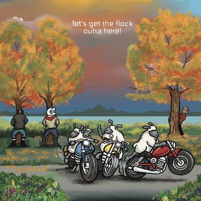 Flockers | Outta Here | Greetings Cards | GCFL14