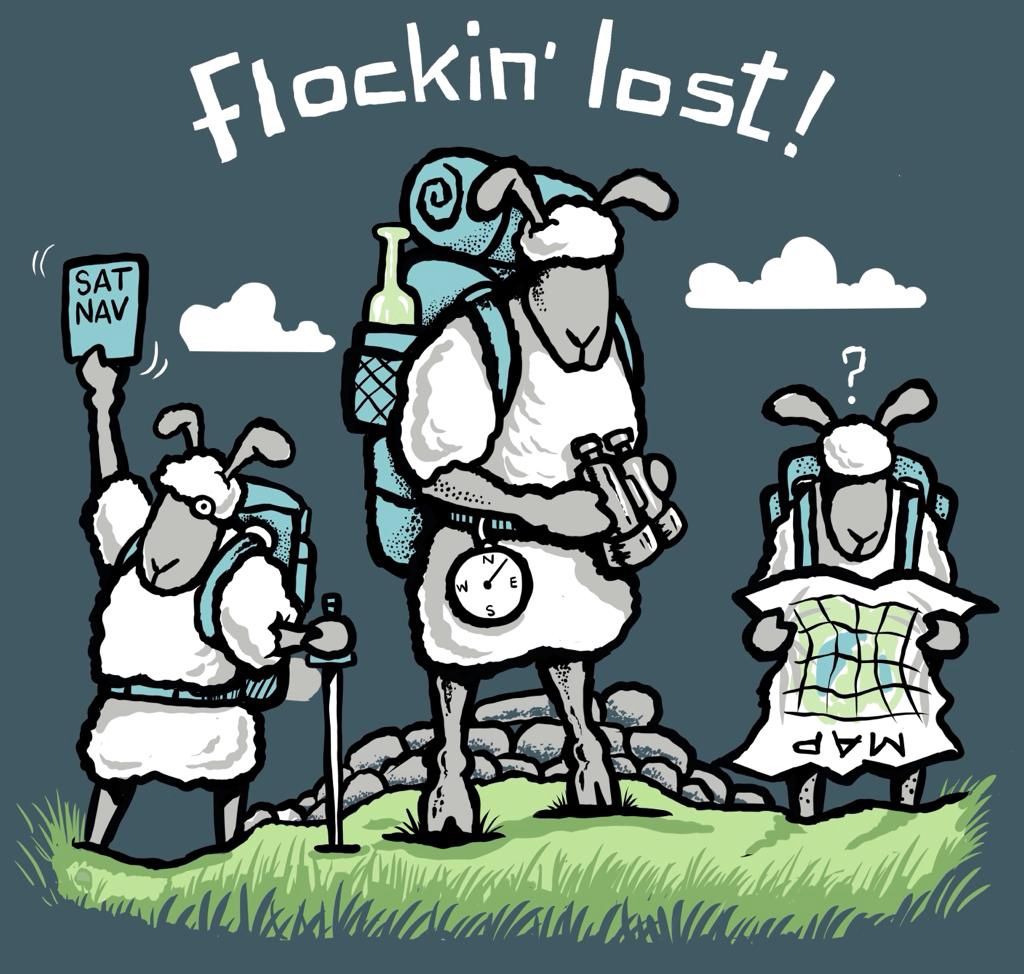 Flockers | Flockin Lost ! | Car Sticker | STFL24