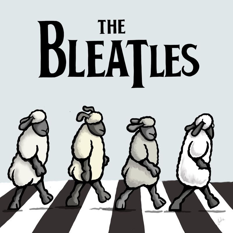 Flockers | The Bleatles Metal  Wall Sign