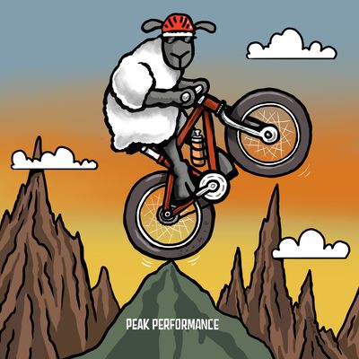 Flockers Metal Sign | Peak Performance