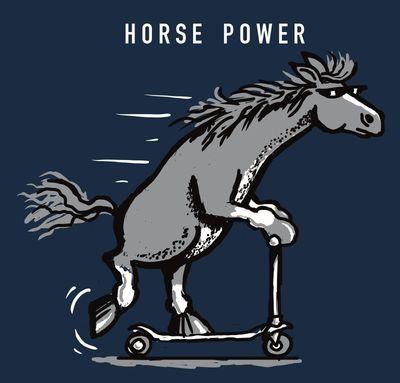 Mooody Metal Sign | Horse Power