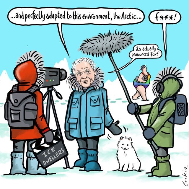 Flockers |Artic Fox and David Attenborough