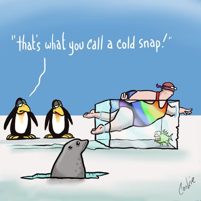 Kimmer Metal Sign | Cold Snap