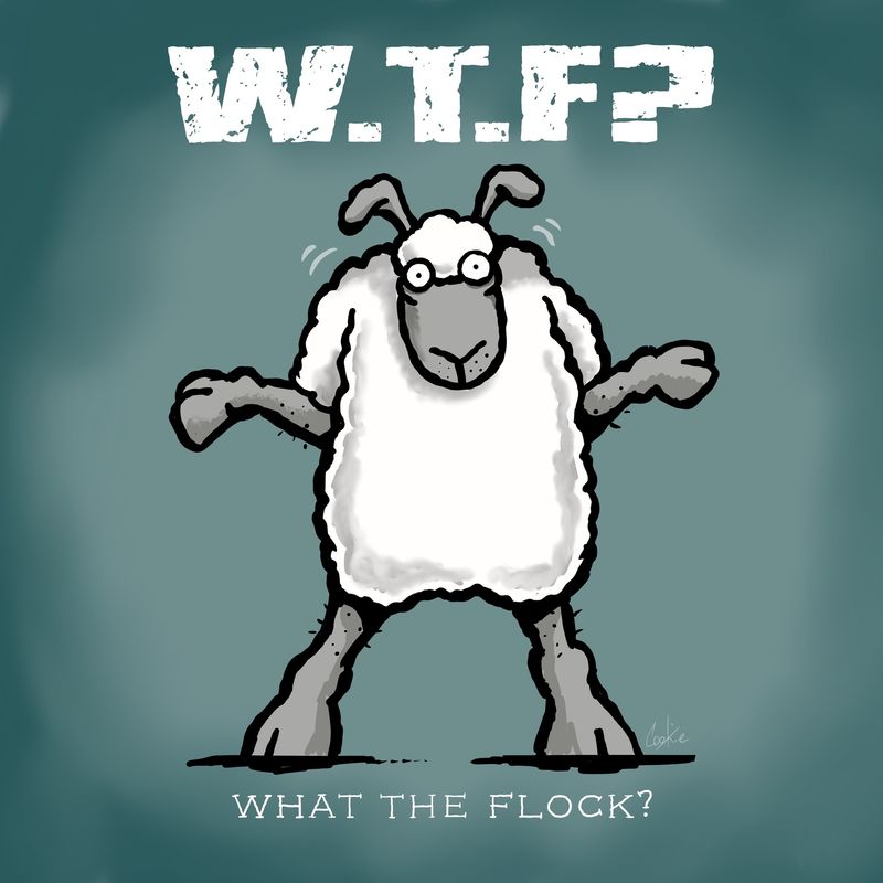 Flockers Fridge Magnet | WTF