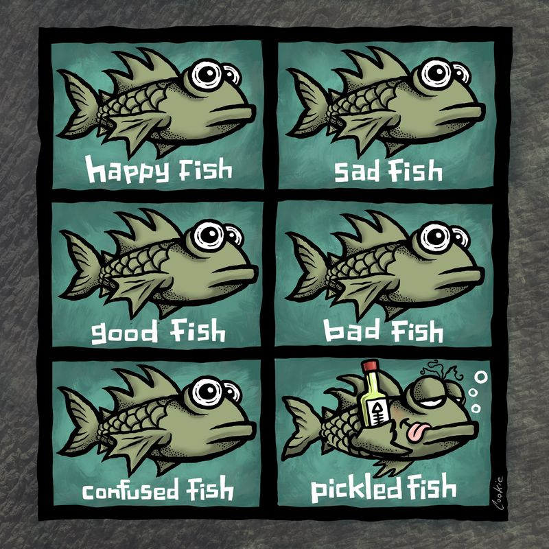 Cookie Classics Coaster | Happy Fish