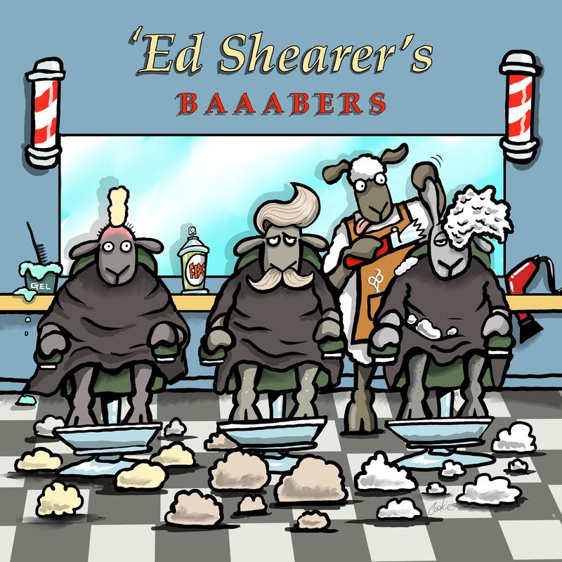 Flockers Fridge Magnet | Baaabers