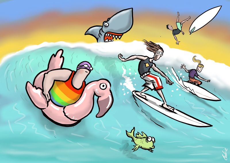 Kimmer Coaster | Sea Swim