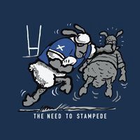 Flockers Metal Sign | Rugby Stampede - Scotland