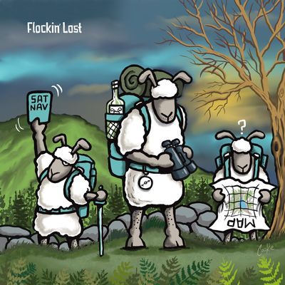 Flockers Blank Greetings Card | Flockin Lost!