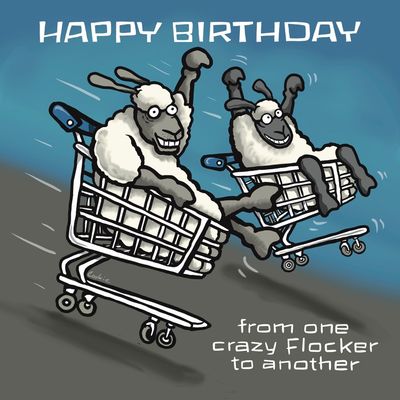 From One Crazy Flocker Birthday Card | Funny Best Friend Card | Baaad Flockers®