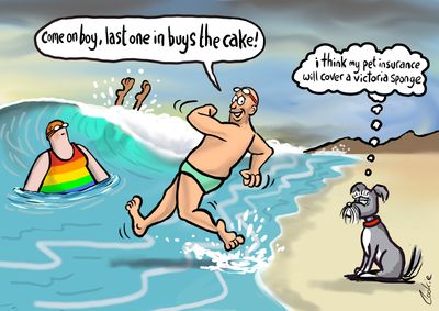 Last One In Buys Cakes Card | Funny Wild Swimming Card | Baaad Flockers®