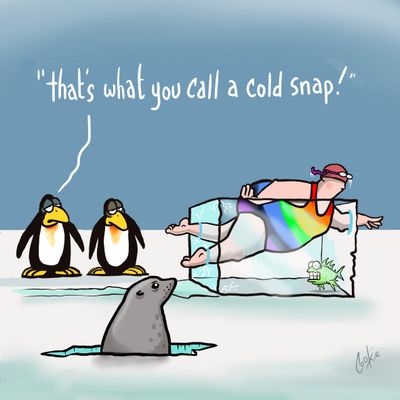 Cold Snap Fridge Magnet | Ice Swimming &amp; Cold Water Gift | Kimmer