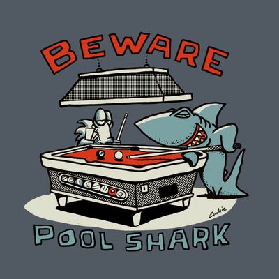 Beware Pool Shark Funny Fridge Magnets | 60 x 60mm Flockers® Magnets | Baaad Flockers®