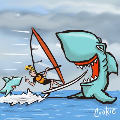Windy Shark Fridge Magnet | Funny Shark, Boat &amp; Nautical Gift | Cookie Classics