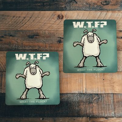 Flockers Coaster | WTF