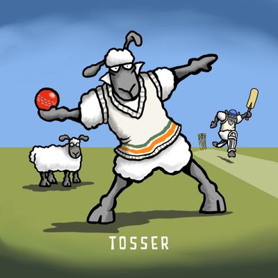 Cricket Tosser Funny Fridge Magnets | 60 x 60mm Flockers® Magnets | Baaad Flockers®