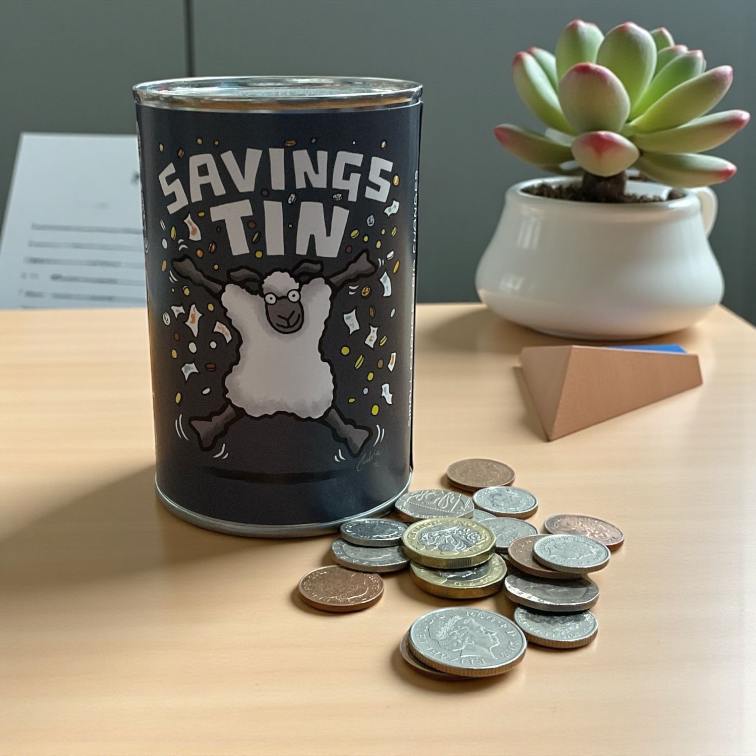 Flockers Funny Gifts | Money Tin