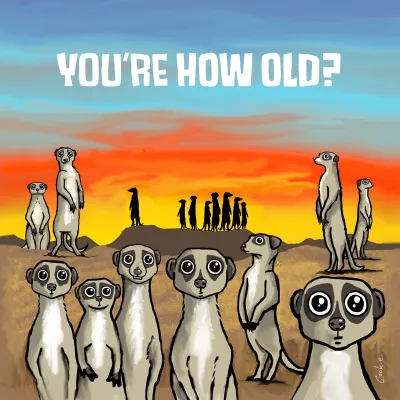 Flockers Birthday Card | How Old Are You? Meerkat
