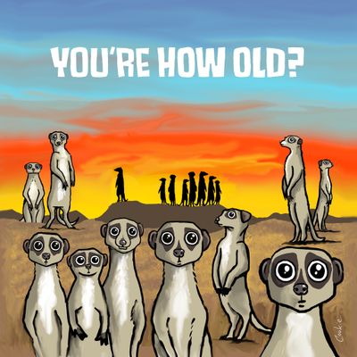 How Old Are You? Meerkat Card | Funny Age Birthday Card | Baaad Flockers®