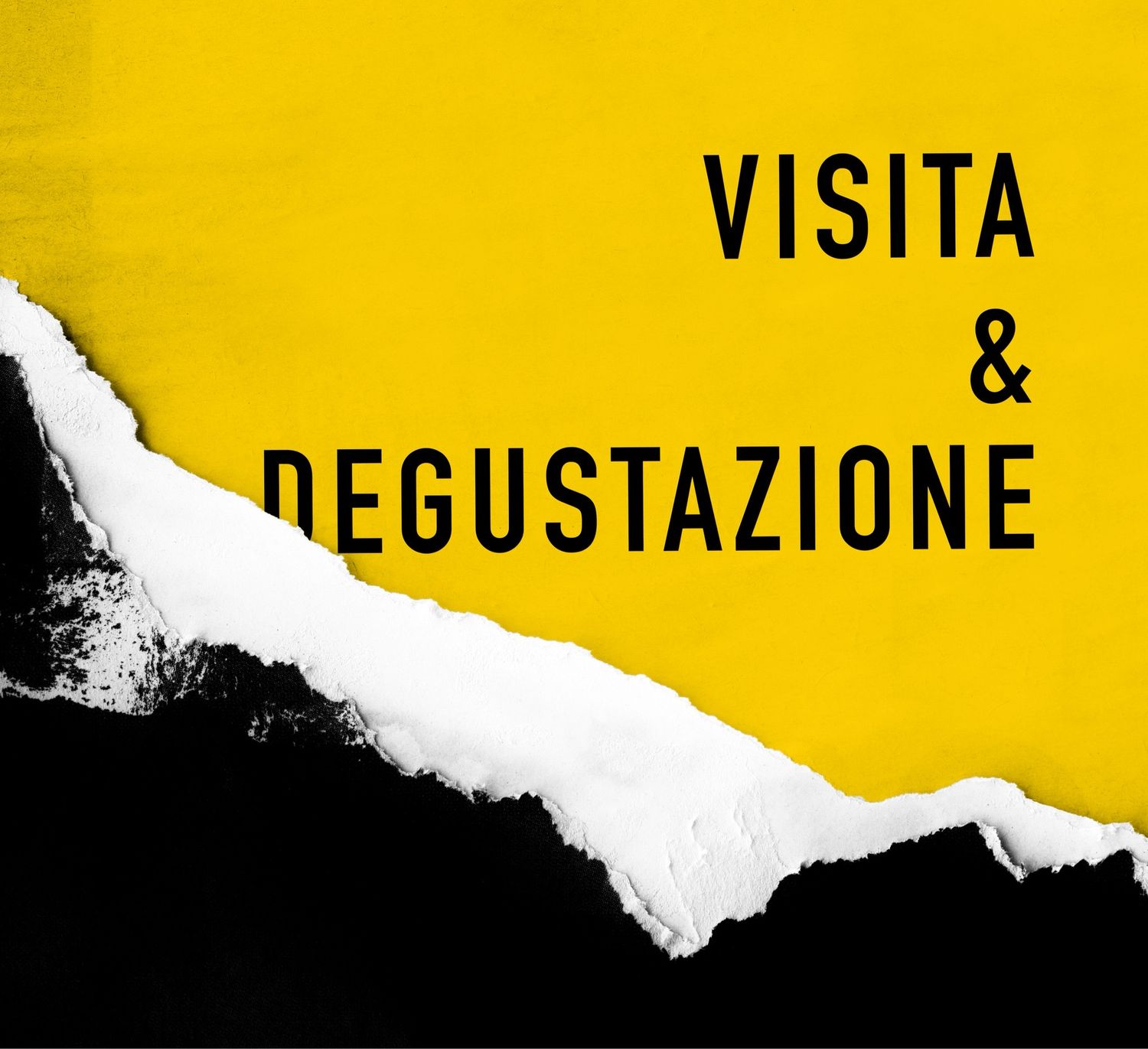 Visita in Birrificio e Degustazione