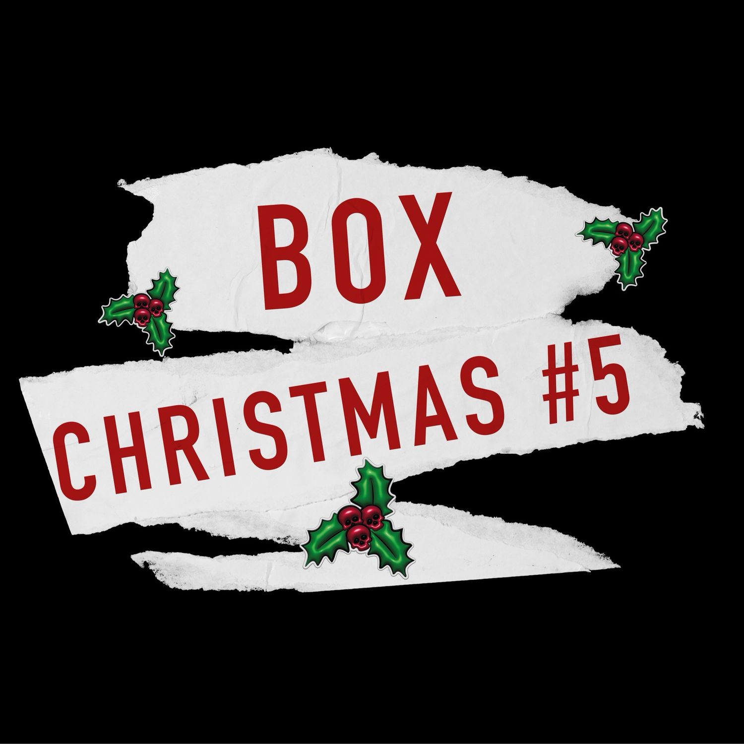 Box Christmas #5