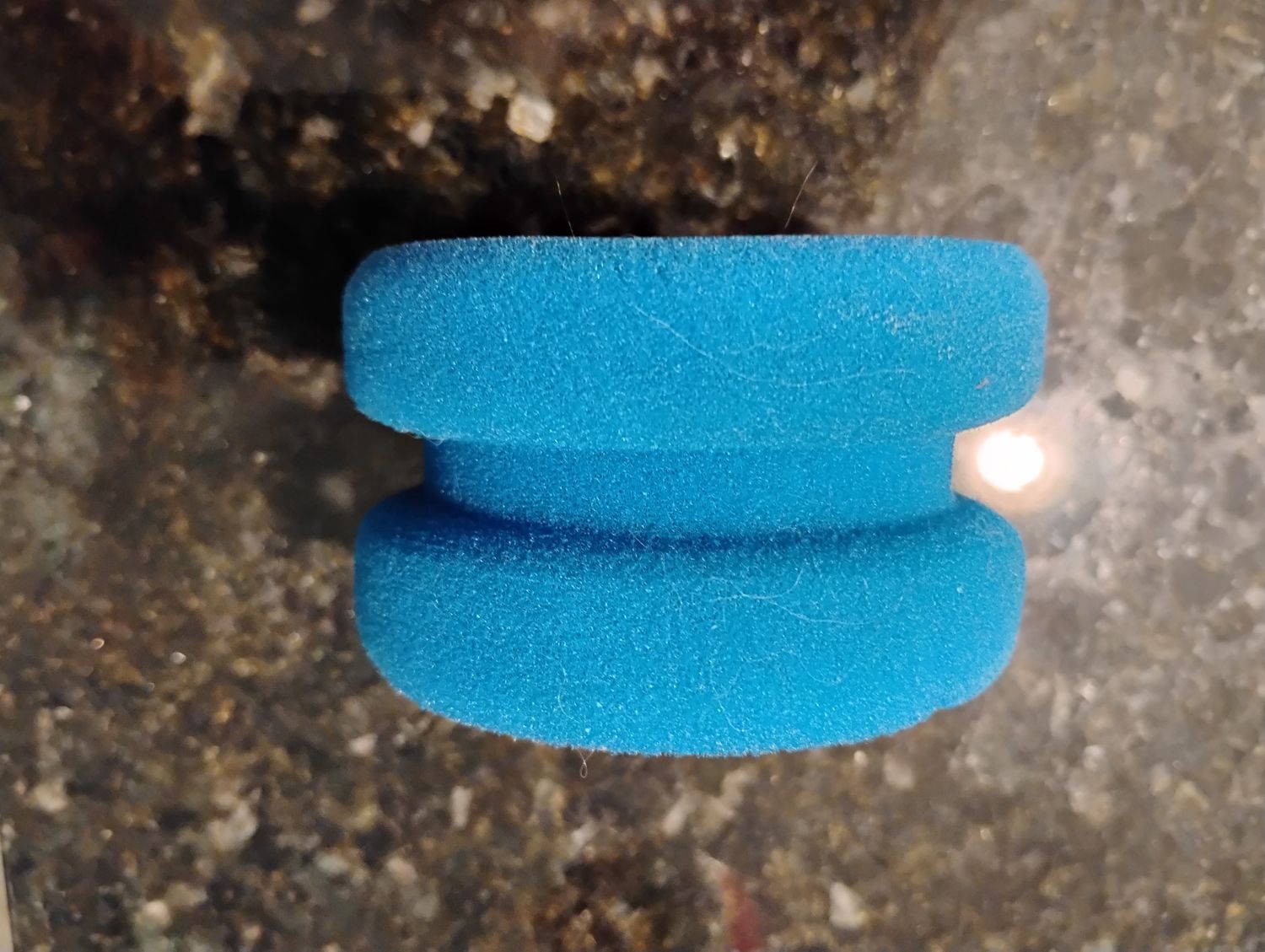Blue Sponge