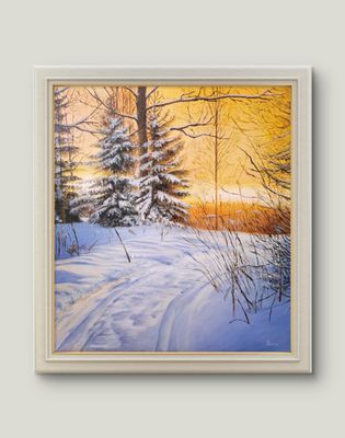 Winter Sunlight