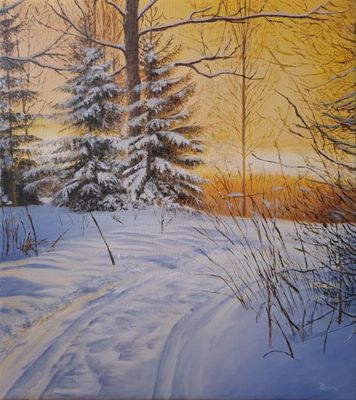 Winter Sunlight