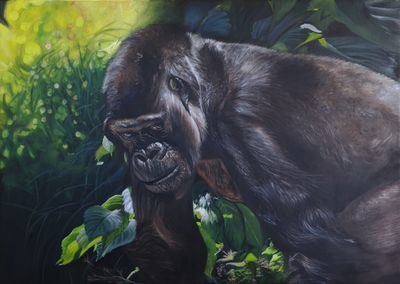 The Wary Gorilla