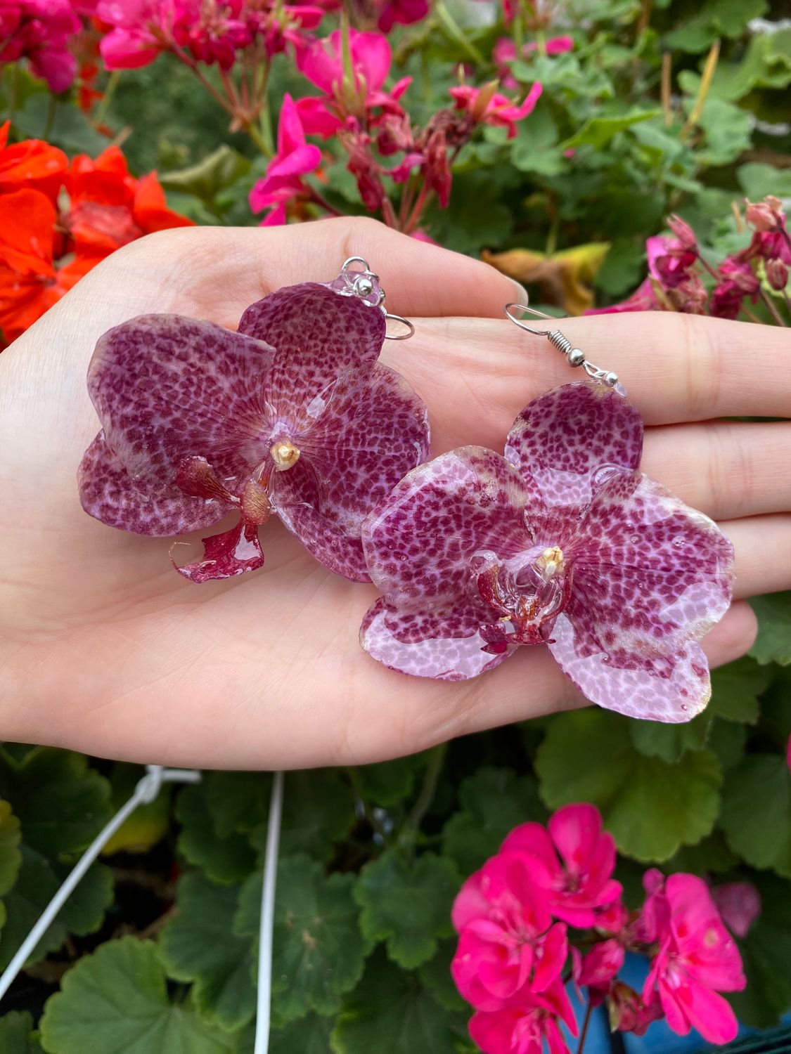 Pendientes de Orquídeas