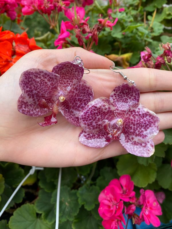 Pendientes de Orquídeas