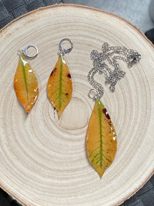 Conjunto de pendientes y colgante