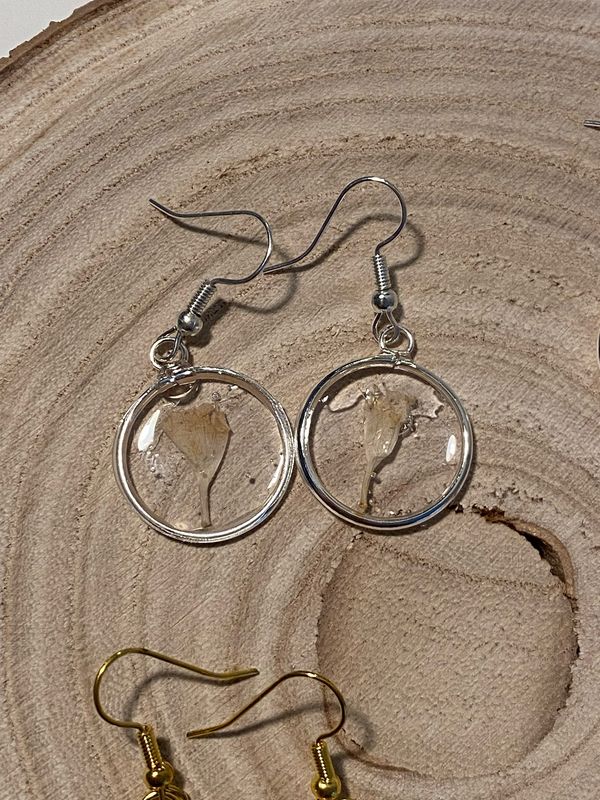 Pendientes de plantas encapsuladas