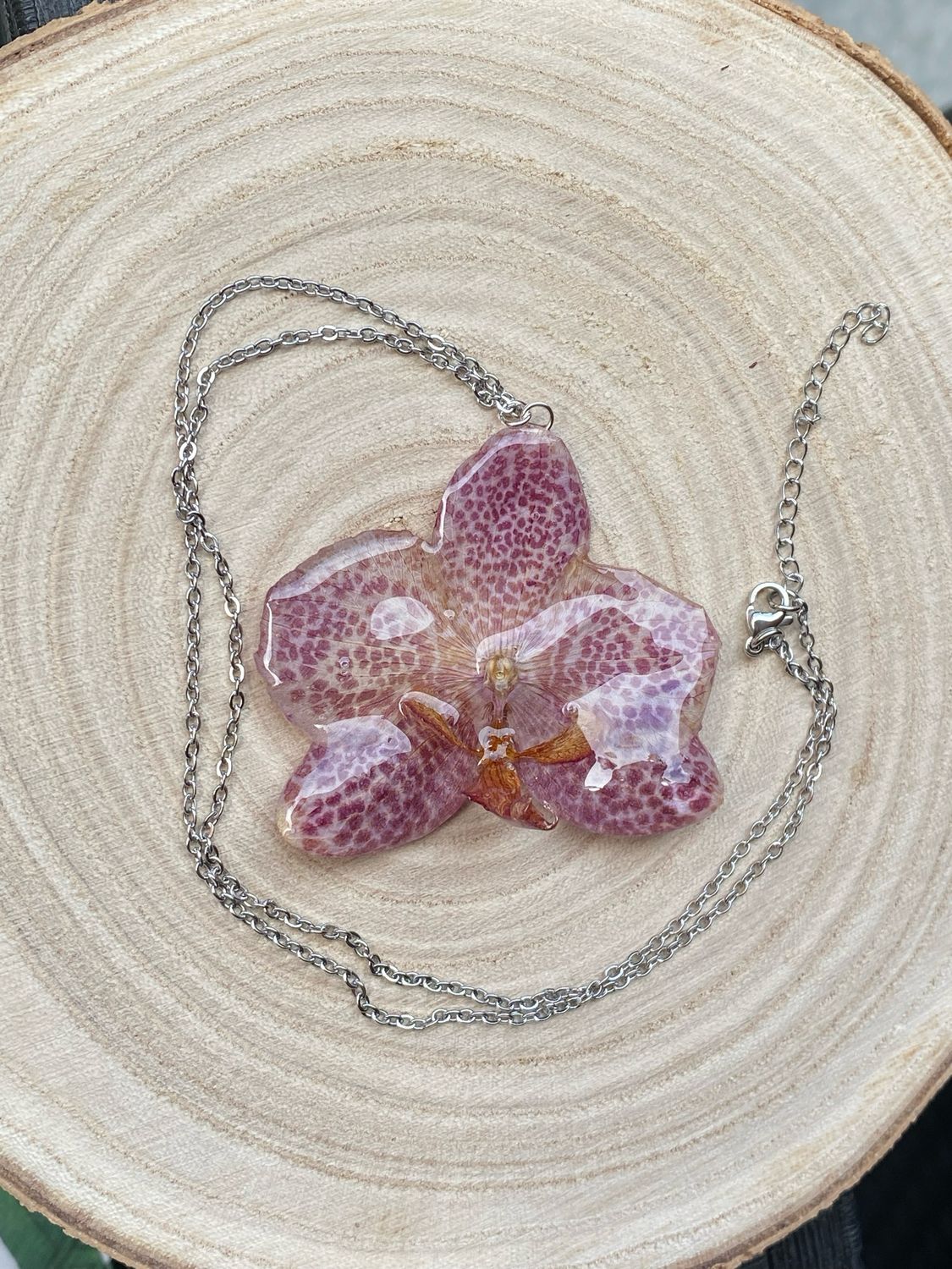 Colgante de Orquídea natural