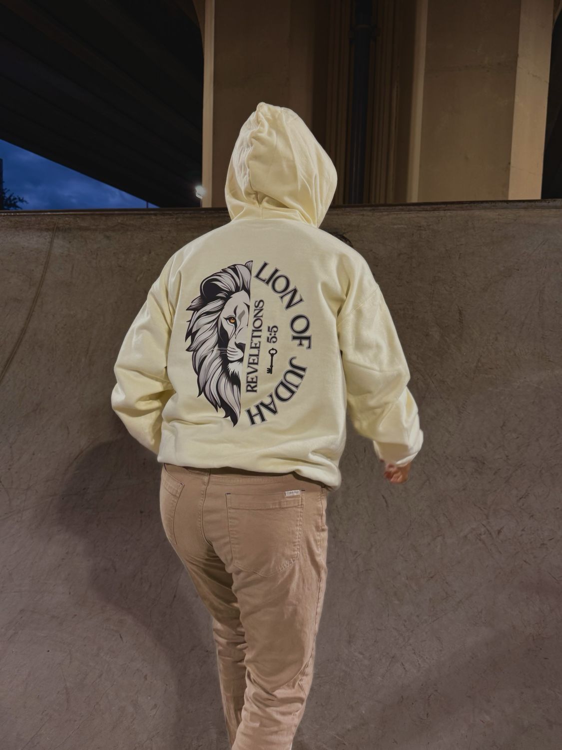 LION OF JUDAH UNISEX HOODIE