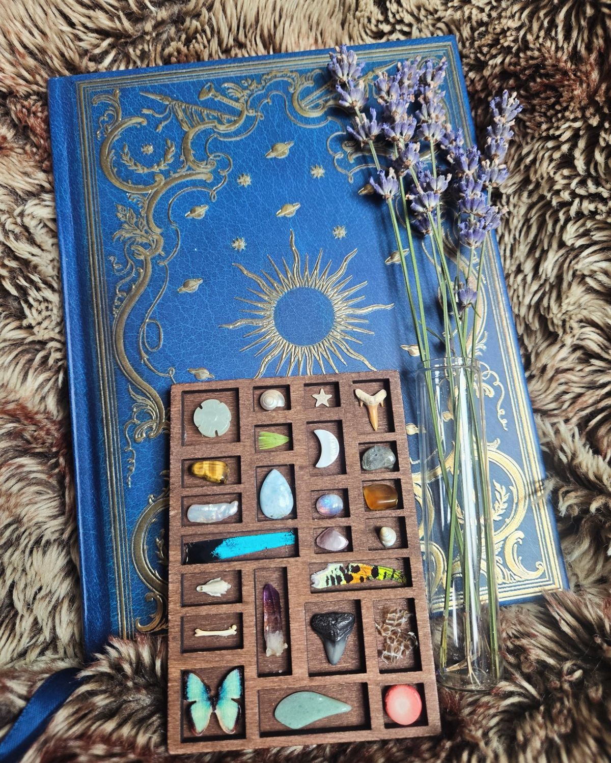 Mini Curated Oddities Shelf