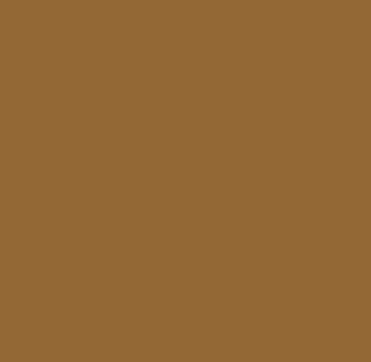 Savage Widetone Seamless Background Paper (Cocoa, 53&quot; x 36&#39;)